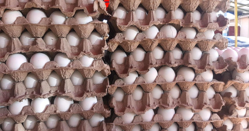 Precios más accesibles para el huevo al iniciar este año. Foto: Famnuel Úbeda/Radio ABC Stereo