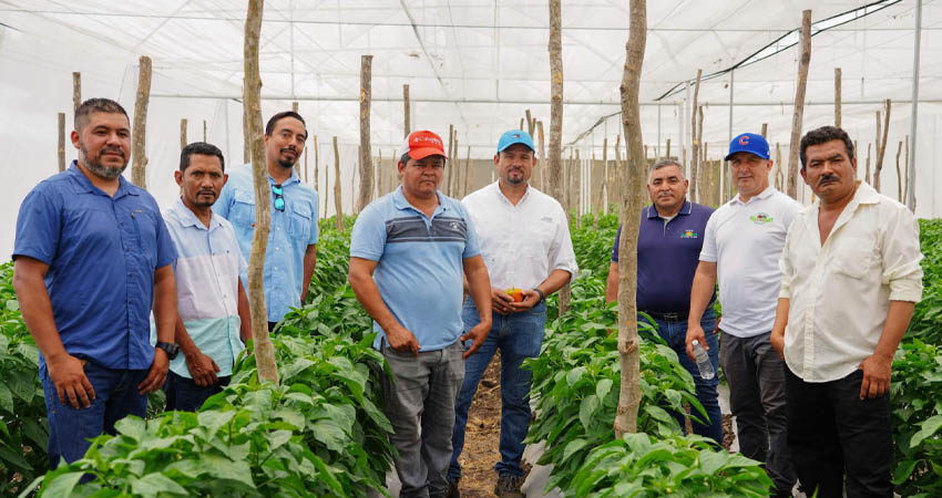 Fondos para colocar créditos apoyarán a proveedores agrícolas de Nicaragua, Costa Rica y Honduras.