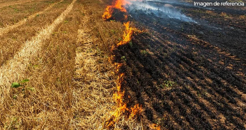 En verano aumentan las quemas en zonas rurales. Foto: Imagen de referencia