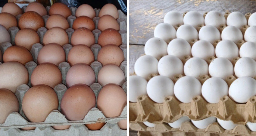 Se espera que en las próximas semanas el precio continúe bajando.