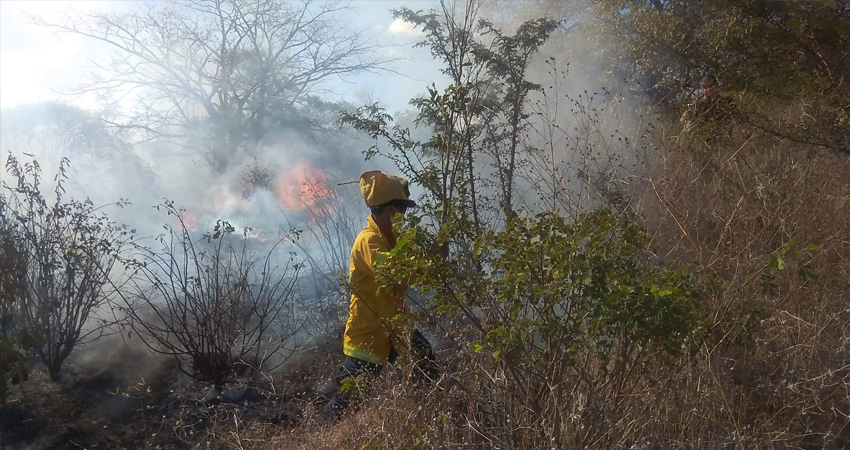Incendio forestal en El Tular. Foto: Juan Fco. Dávila/Radio ABC Stereo