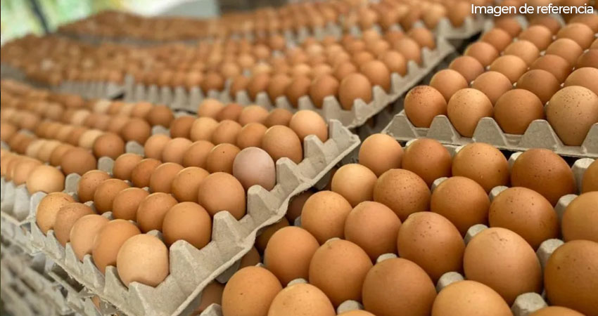 El alza podría deberse a disminución de la producción de huevos, según comerciantes. Imagen de referencia