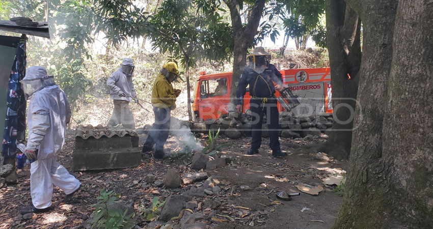 La señora estaba afuera de su vivienda cuando ocurrió la incidencia. Foto: José Enrique Ortega/Radio ABC Stereo