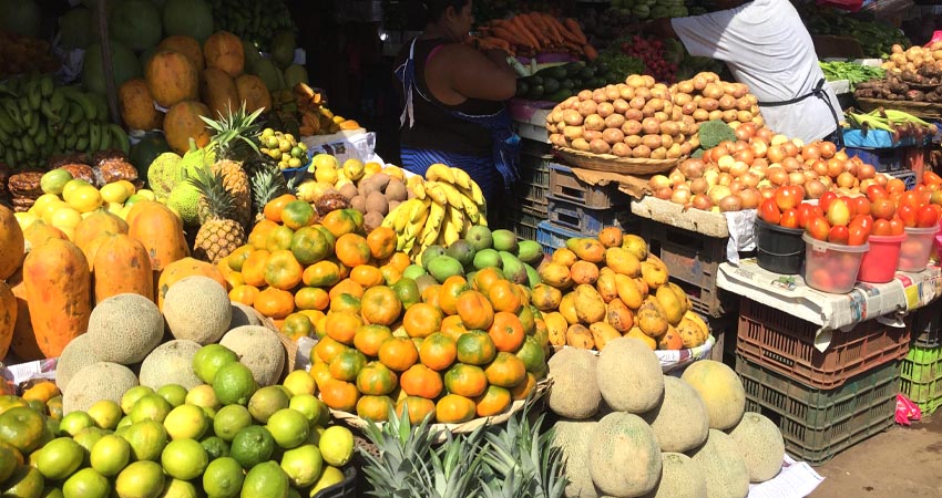 Las frutas de ofertan en variedad de precios y tamaños. Foto de referencia.