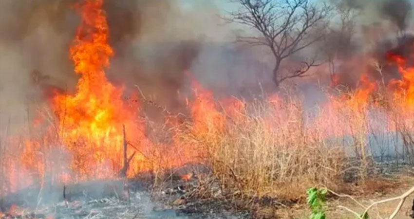 Incendios forestales en el occidente de Nicaragua. Foto: Cortesía/Radio ABC Stereo