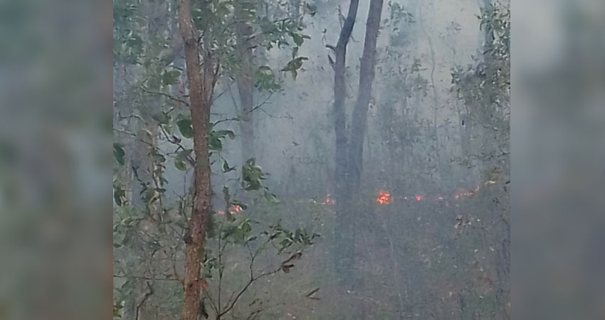 Incendio en cerro Cujilaca. Foto: Cortesía/Radio ABC Stereo