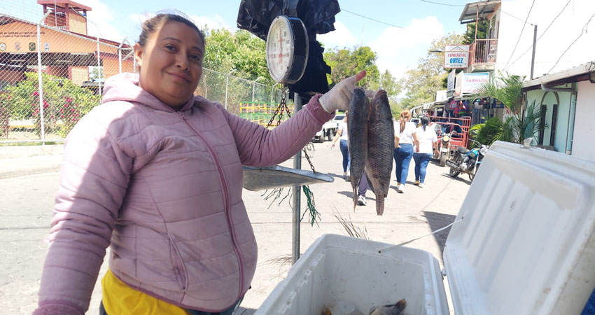 La demanda de pescado se mantiene. A diferencia del año pasado, la libra aumentó 20 córdobas.