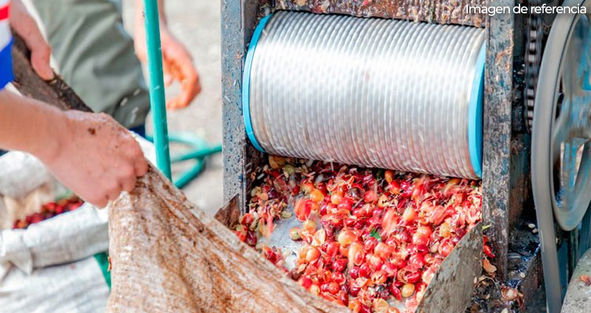 El suceso ocurrió en la comunidad Las Camelia, San Fernando. Foto de referencia