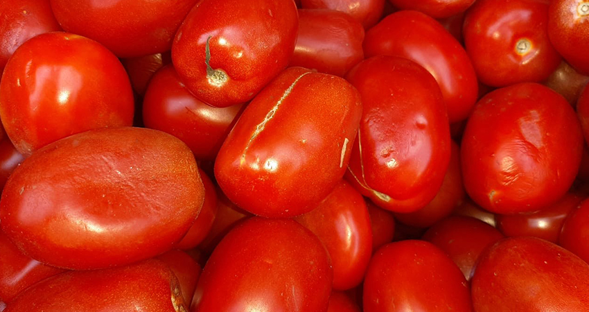 Tomates en el Mercado Alfredo Lazo. Foto: Famnuel Úbeda/Radio ABC Stereo