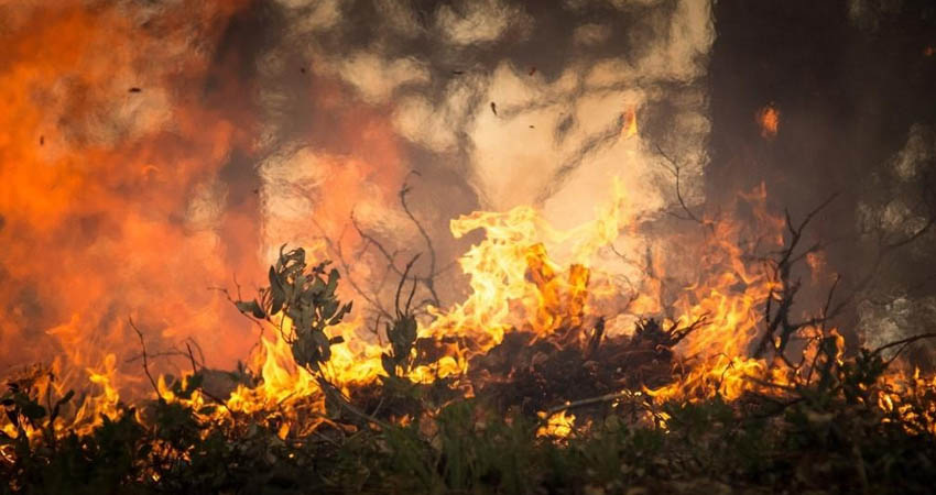 Los incendios se registraron en la Reserva Tomabú, en El Sontule y en San Nicolás. Imagen de referencia