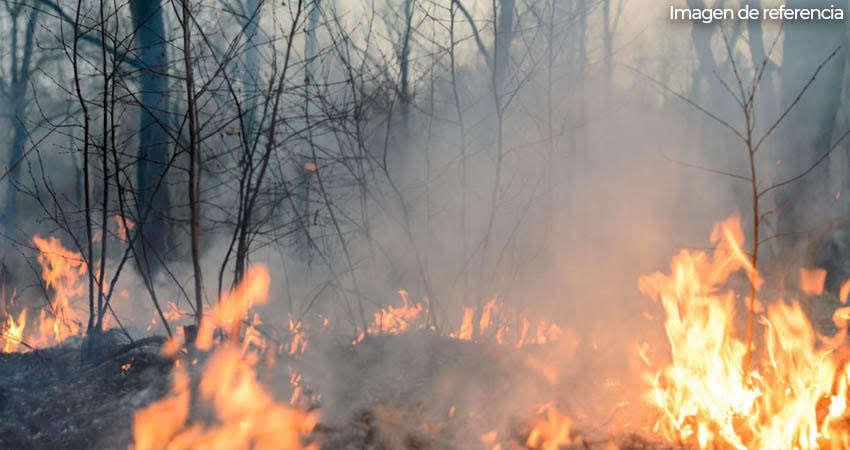 Sospechan que incendio forestal fue provocado. Imagen de referencia/Radio ABC Stereo