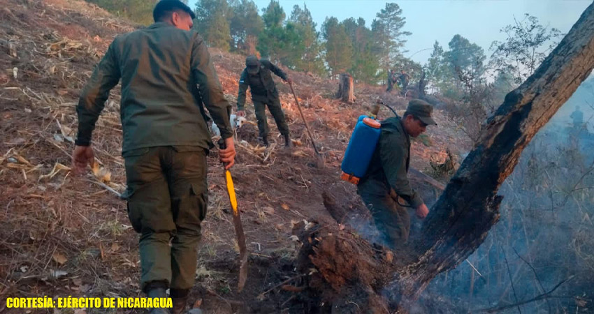 Canta Gallo se caracteriza por su frondoso bosque, que lamentablemente fue afectado por el incendio. Foto: Primer Comando Militar Regional