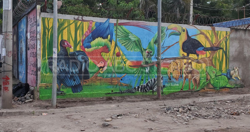 Angelina Díaz detalló que FUNARTE ha realizado más de 300 murales en Estelí. La organización conmemora 35 años de existir en esta ciudad.