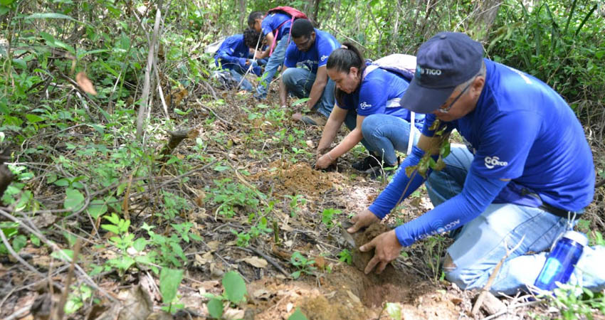 Tigo junto con sus voluntarios Acción Tigo fortalecen su compromiso con el cuido del medioambiente. Foto: Tigo Nicaragua