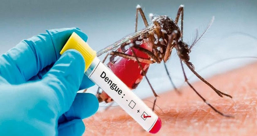 El MINSA reportó 336 casos de dengue en la última semana, así como un aumento de malaria e influenza, lo que ha llevado a reforzar acciones de prevención y control en comunidades.