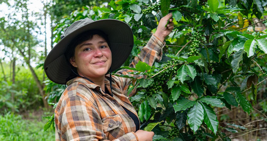 A través de Plan Nescafé, desde el 2014, Nestlé ha brindado formación gratuita a más de más de 56 mil personas de 21 países han participado en este programa, de las cuales el 52% son mujeres.