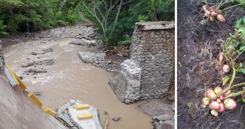 Varias localidades de Miraflor se encuentran incomunicadas tras el colapso del puente de la comunidad San José, además, reportan daños en caminos, derrumbes y encharcamiento en cultivos.