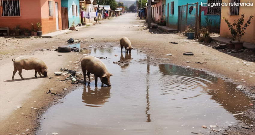La situación representa riesgos para la salud. Imagen de referencia generada con IA