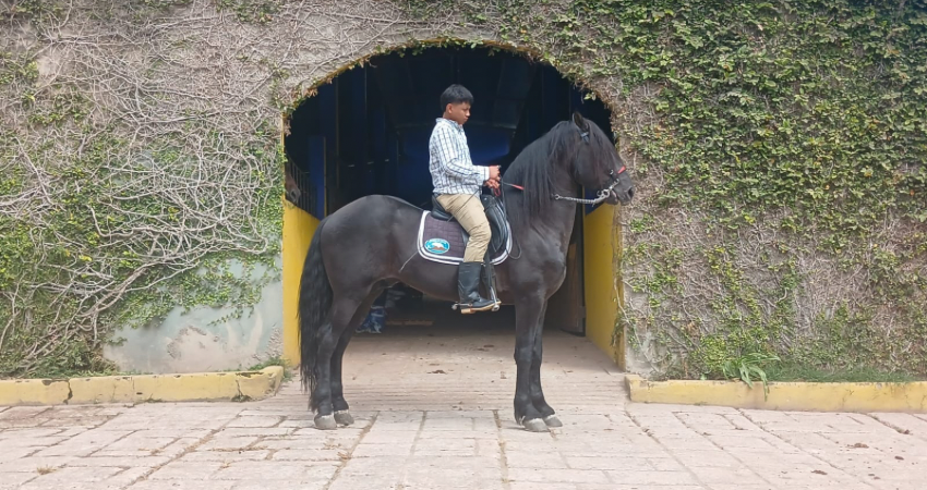 Ejemplar criado en el Rancho Los Cerritos de Estelí. Foto: Famnuel Úbeda/Radio ABC Stereo