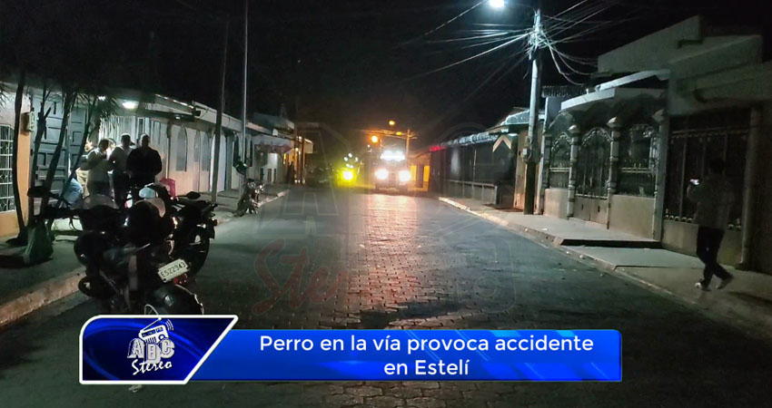 Perro en la vía provoca accidente en Estelí