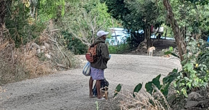 Habitantes de otras comunidades han comentado haberlo visto también. Foto: Cortesía/Radio ABC Stereo