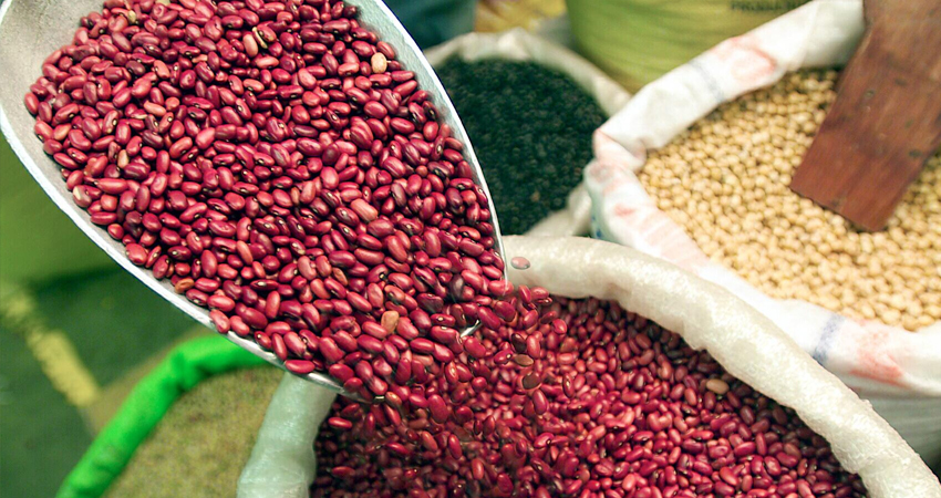 Precio del frijol rojo se mantiene estable en Estelí. Imagen de referencia