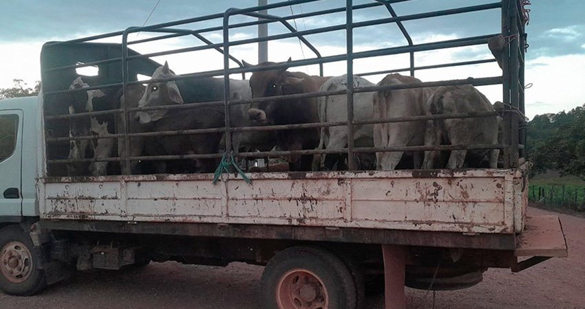 El operativo de realizó en el empalme de Icalupe, Somoto. Foto: Cortesía/Primer Comando Militar Regional