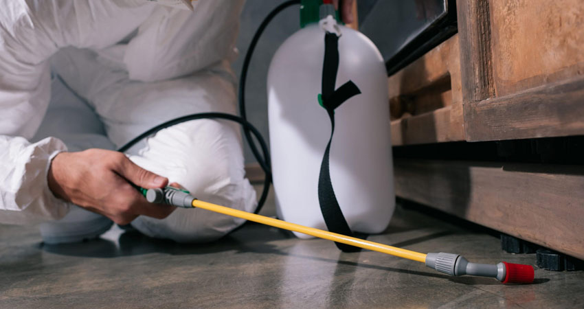 La fumigación es un paso clave para consumidores y comerciantes de alimentos. Imagen de referencia