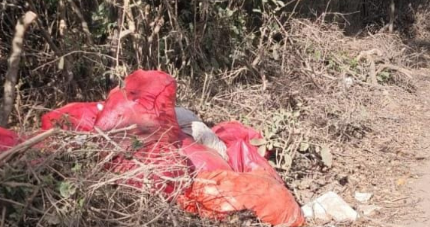 Los desechos principalmente son de restos de animales. Foto: Cortesía/Radio ABC Stereo