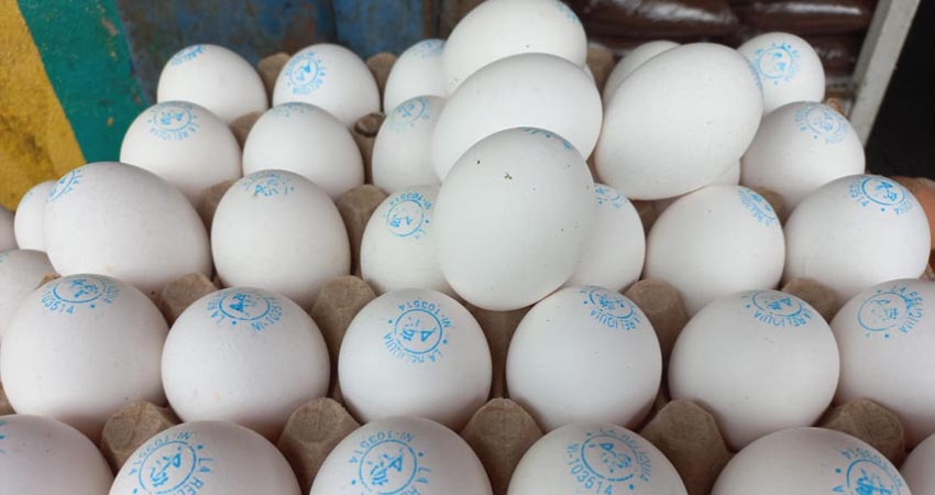 Para esta misma temporada del año en el 2022 la cajilla de huevos costaba 140 córdobas. Foto: Archivo/Radio ABC Stereo
