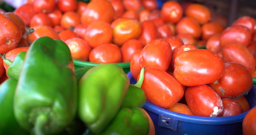 El tomate es el más afectado por la humedad. Foto: Kathia Reyes/Radio ABC Stereo