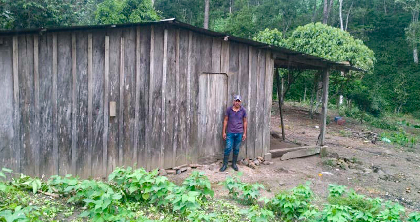 Los malhechores entraron a la vivienda auxiliándose de una escalera. Foto: Cortesía