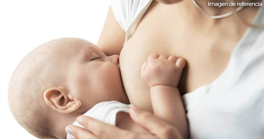 La lactancia materna ayuda en gran medida a los recién nacidos y a la mamás. Imagen de referencia