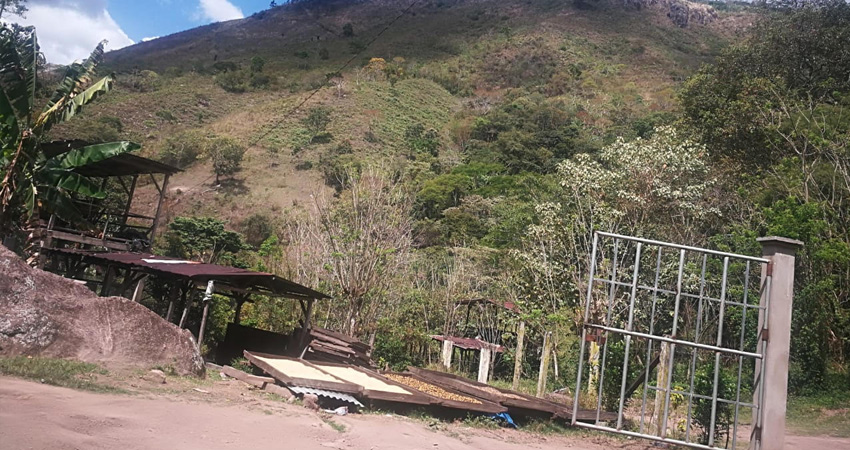 Los maleantes llegaron agresivos y amenazando a los cuidanderos. Foto: Cortesía/Radio ABC Stereo