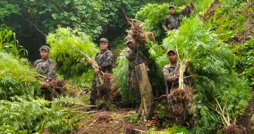 El operativo fue ejecutado por el Ejército de Nicaragua. Foto: Cortesía