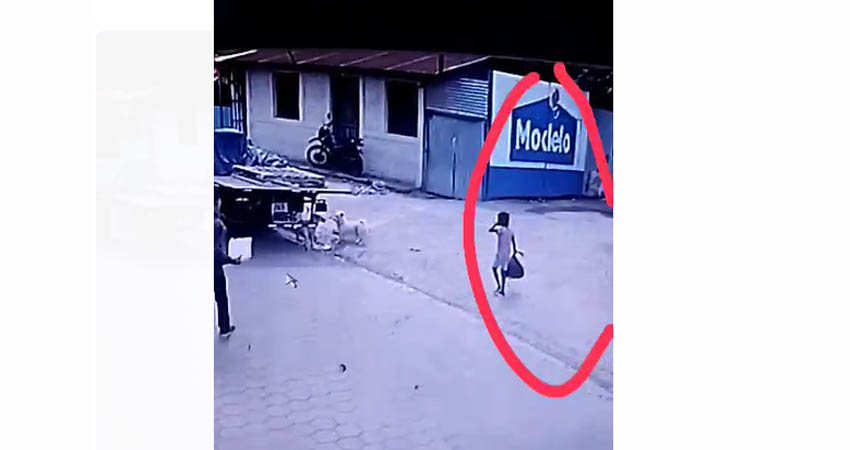 Cámaras de vigilancia captan a una niña cuando transportaba mercadería robada. Foto: Captura de pantalla