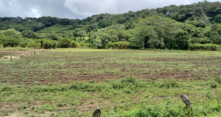 Productores de San Nicolás iniciaron están listos para iniciar la siembra. Foto: Byron Altamirano/Radio ABC Stereo