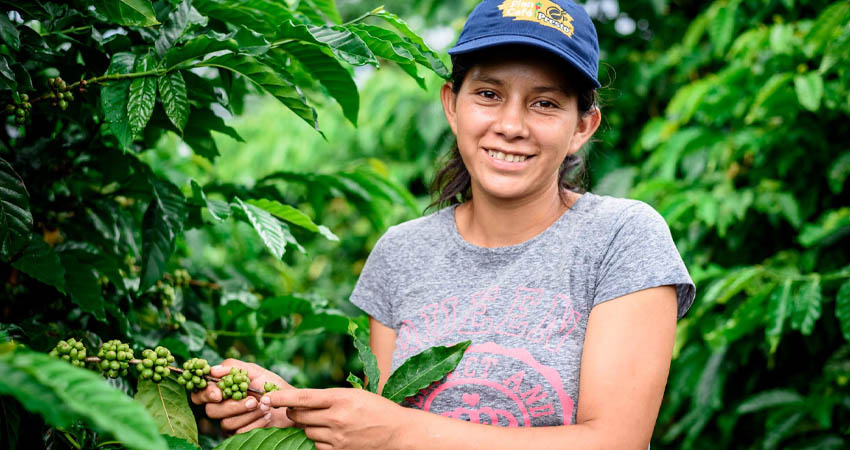 Cada 1 de octubre se celebra del Día Internacional del Café. Foto: Cortesía/Nestlé Nicaragua