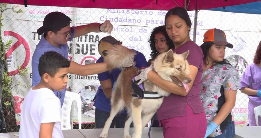 Jornada veterinaria en el Parque De La Familia. Foto: Cortesía / Radio ABC Stereo