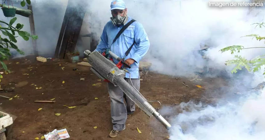 Eliminar criaderos de mosquitos evita propagación de enfermedades. Foto: Imagen de referencia