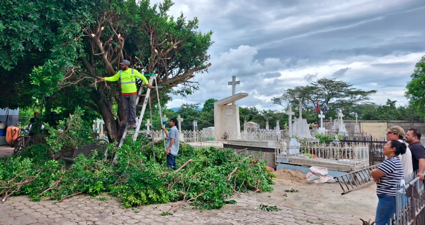 Las cuadrillas municipales, en conjunto con los bomberos, exterminaron enjambres de abejas, revisaron tumbas e hicieron limpieza general para recibir a las familias este próximo Día de los Fieles Difuntos.