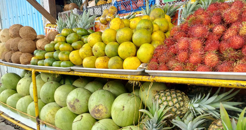 El melón, la papaya y la sandía entre las frutas más afectadas por la humedad.