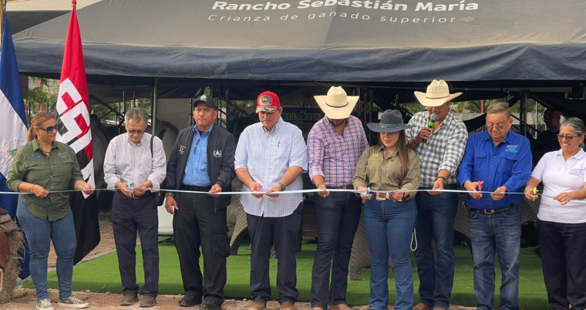 La feria ganaderá culminará este domingo. Foto: Dayana González/Radio ABC Stereo